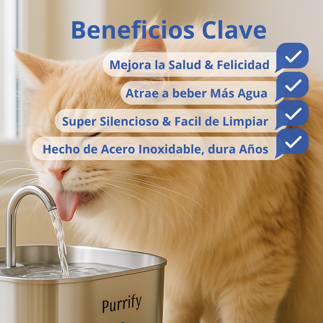 Fuente Acero Inoxidable Purrify™