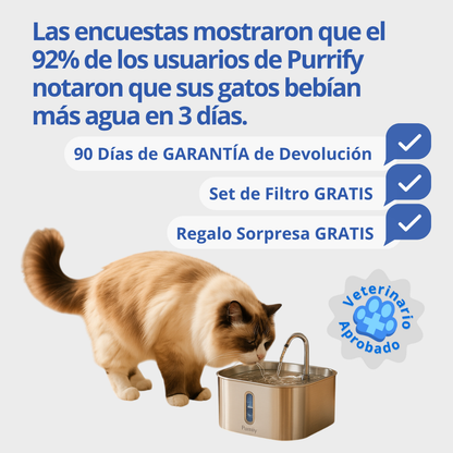 Fuente Acero Inoxidable Purrify™
