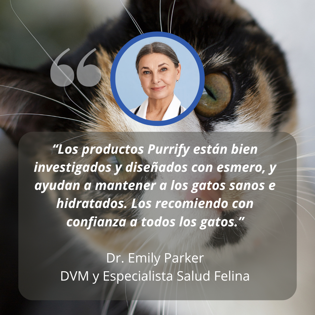 Fuente Acero Inoxidable Purrify™